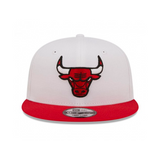 CHICAGO BULLS