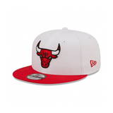 CHICAGO BULLS