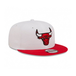 CHICAGO BULLS