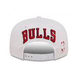 CHICAGO BULLS